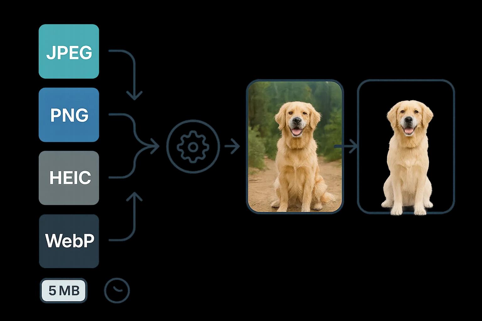 Various image formats supported by AI Background Remover