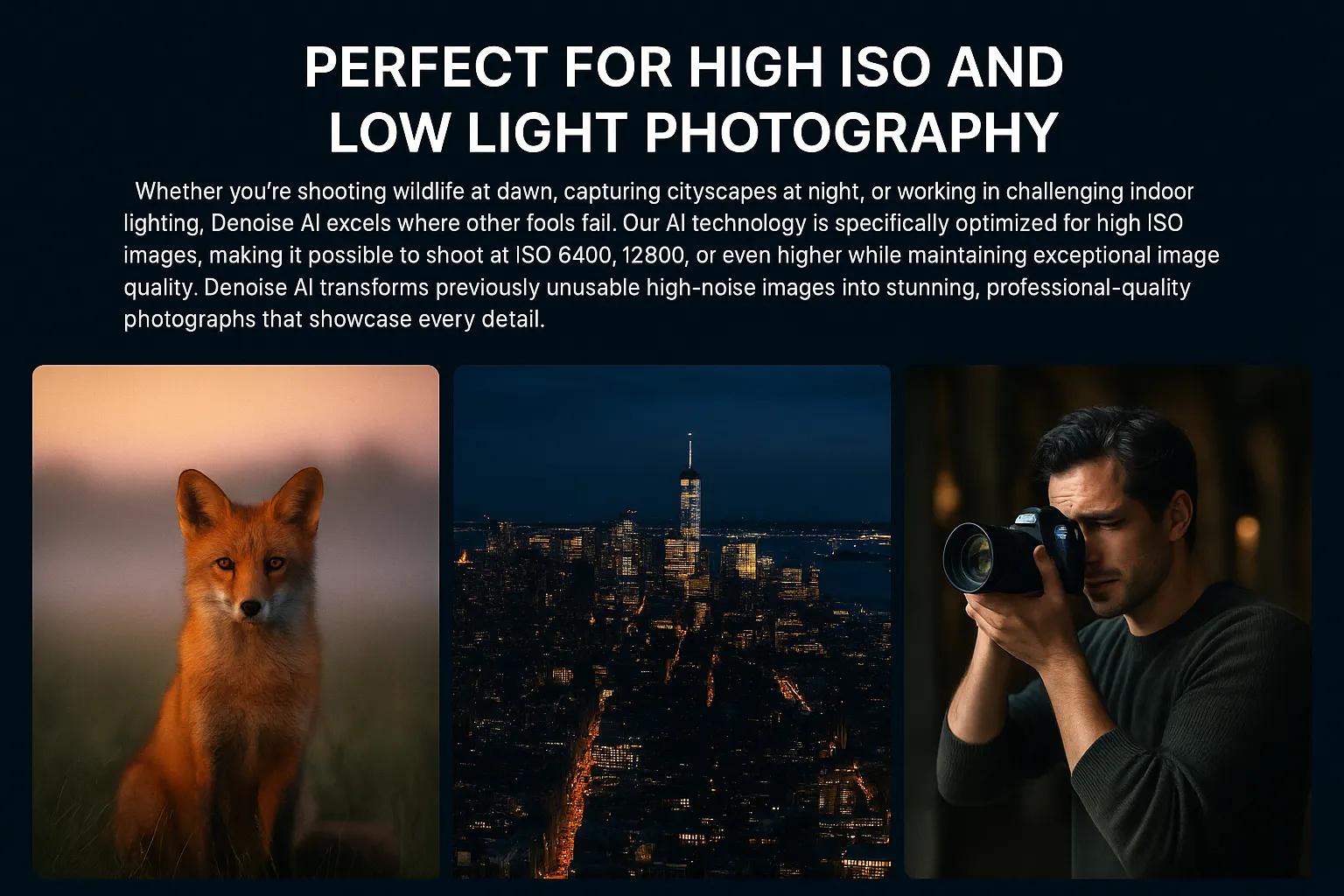 High ISO photography enhanced with Denoise AI showing clear night photography results